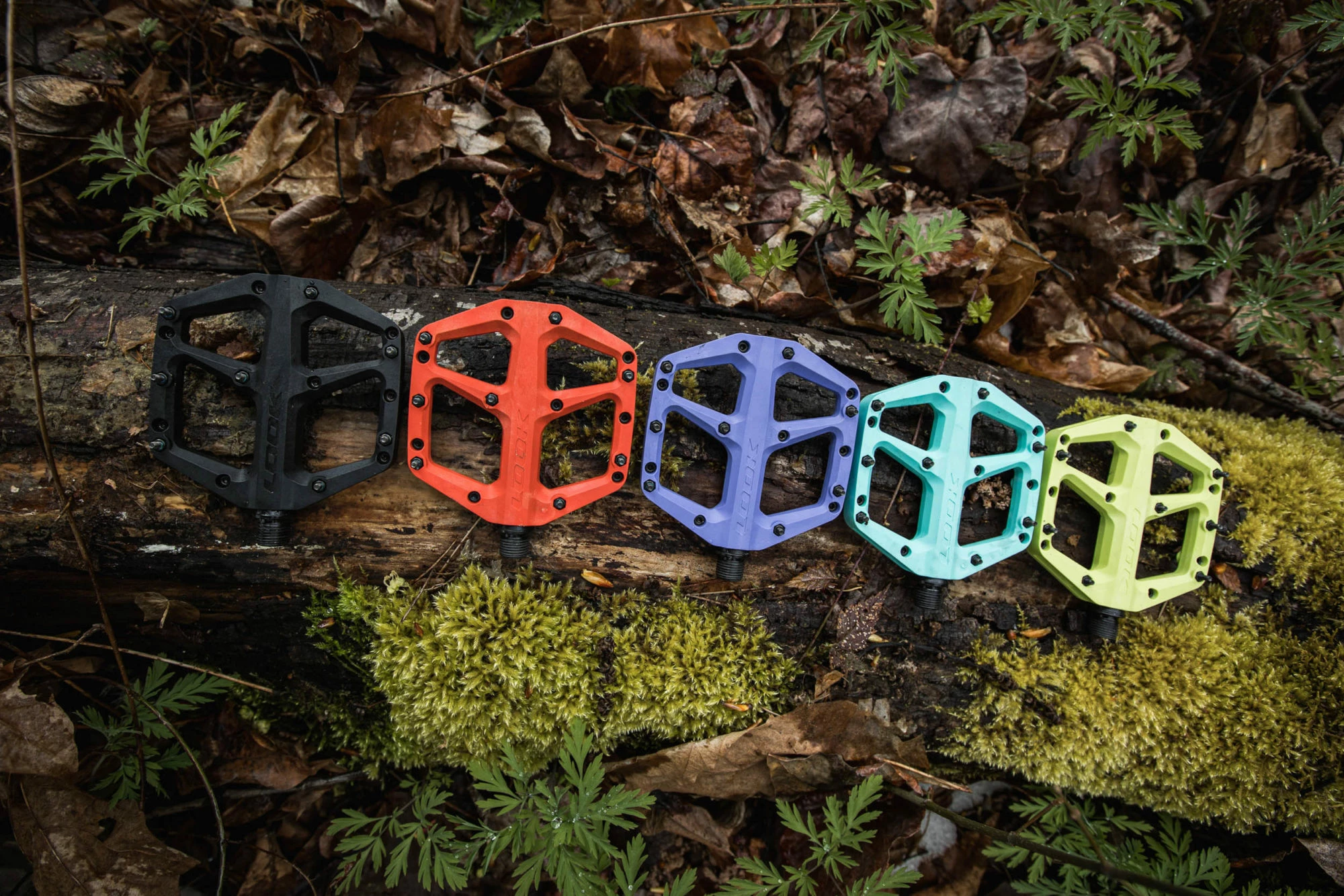 Titelseite -Pedal-Verkäufe 7